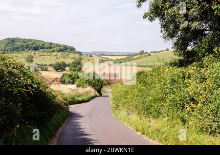 Eine Landstraße windet sich durch die hügelige Landschaft der Dorset Downs Hügel neben Weatherby Hill im Milborne Valley bei Tolpuddle, mit Bulbarr Stockfoto