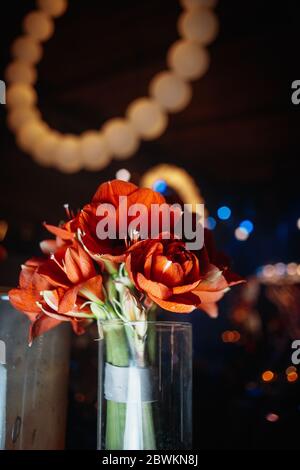 Hibiskus in einer transparenten Vase Stockfoto