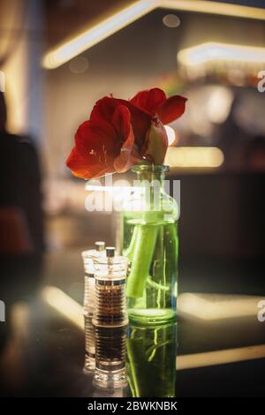 Hibiskus in einer transparenten Vase Stockfoto