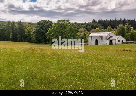 Eine traditionelle Steinscheune steht auf einer Weidewiese neben Wald im Teesdale Tal unter den North Pennines Hügeln. Stockfoto