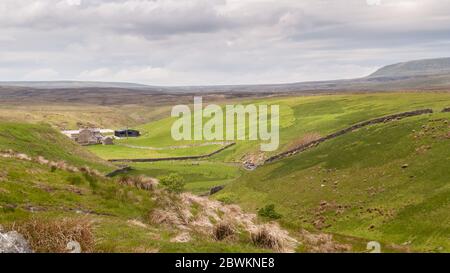 Teesdale, England, UK - 25. Mai 2011: Ein Bauernhaus und Scheunen sind eingebettet in einem Tal bei Lune Head in Teesdale in den hohen Moorlandhügeln von Englands N Stockfoto