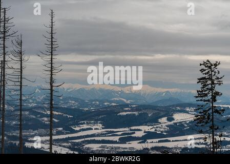 Blick auf die Krivanska Mala Fatra Gebirge in der Slowakei von Velky Polom Hügel in Moravskoslezske Beskiden Berge auf tschechisch - slowakischen Grenzen während Stockfoto