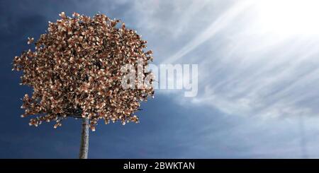 3d-Rendering von Euro wächst auf einem Baum in einem hellen Tag gegen blauen Himmel Stockfoto