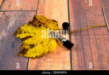 Lippenstift auf Holzhintergrund, Herbsttöne, Herbstfarben Stockfoto