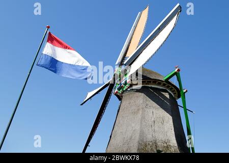 Dänische Flagge und eine Windmühle von Zaanse Schans gegen blauen Himmel, Niederlande Stockfoto