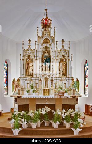 Hauptaltar in der St. Louis Catholic Church, erbaut 1870, in Castroville, Texas, USA Stockfoto