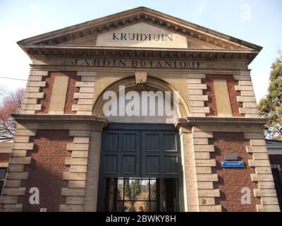 Hortus Botanicus Lovaniensis (Leuven, Belgien) Stockfoto