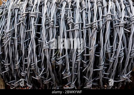 Vollformat Nahaufnahme der Rolle des Stacheldrahtes. Stockfoto