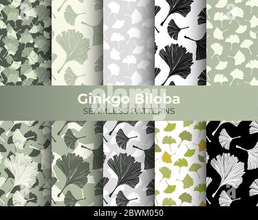 Ginkgo Biloba Nahtlose Mustersammlung. Vector Botanical Plant für Stoff Textildesign und Interieur Tapeten. Blasser Salbei auf Elfenbeinhintergrund Stock Vektor