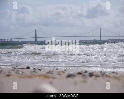 Eine Muschel liegt an einem wunderschönen Strand Stockfoto