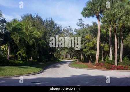 Eine ruhige Straße in der Pelican Beach Gegend von Naples, Florida. Stockfoto