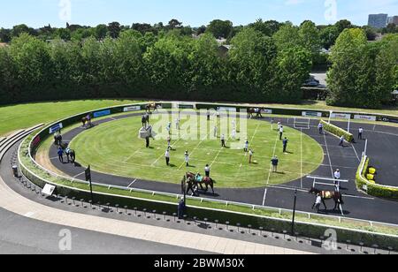 Die Verbindungen halten ihren Abstand im Paradering vor dem ersten Rennen auf der Rennbahn Kempton Park. Stockfoto