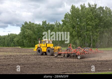 Erntemaschinen arbeiten im Feld am Sommertag. Feldarbeiten im Sommer, ländliche Landschaft, Technik, Innovationen. Stockfoto