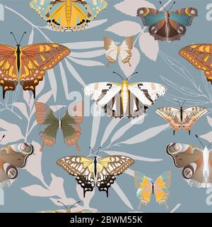 Bunte große und kleine Schmetterlinge auf einem grauen Hintergrund nahtloses Muster. Vektorgrafik mit Insekten. EPS10 Stockfoto