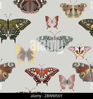Bunte große und kleine Schmetterlinge auf einem grauen Hintergrund nahtloses Muster. Vektorgrafik mit Insekten. EPS10 Stockfoto