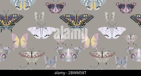 Bunte große und kleine Schmetterlinge auf einem grauen Hintergrund nahtloses Muster. Vektorgrafik mit Insekten. EPS10 Stockfoto