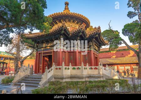 PEKING, CHINA - NOVEMBER 28: Außenansicht der traditionellen chinesischen Architektur in der Verbotenen Stadt am 28. November 2019 in Peking Stockfoto