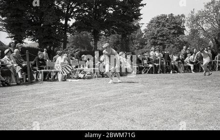 1950er Jahre, historisch, Sommerzeit und eine Schule sportsday, Teenager Jungen warten auf den Start eines Laufens, mit Müttern, Väter, Mitschüler und Lehrer sitzen neben der Gras-Strecke Unterstützung der Athleten, Devon, England, Großbritannien. Stockfoto