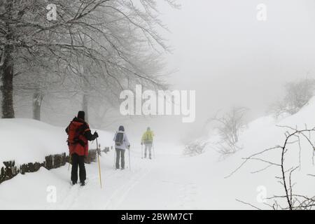 Drei Langlaufläufer genießen Outdoor-Aktivitäten im Winter Nebrodi Mountains Natürliches Wahrzeichen in Sizilien Stockfoto