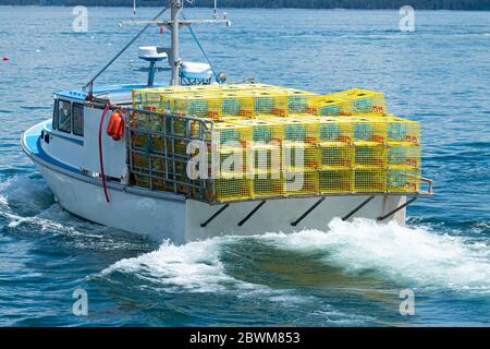 Ein Fischerboot in den Gewässern von Bar Harbor Maine hat gelbe Hummerfallen vier hoch auf einem vollen Boot bereit, in das Wasser gestellt werden. Stockfoto