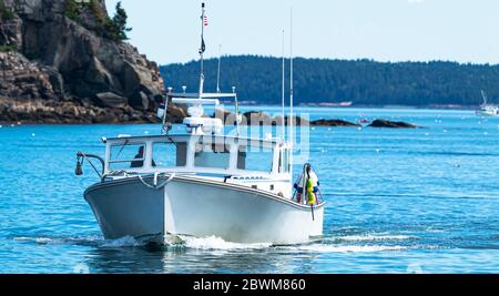 Ein Fischerboot, das von einem Tag des Sammelns lebender Hummer aus Maine nach Bar Harbor in Maine USA zurückkehrt. Stockfoto