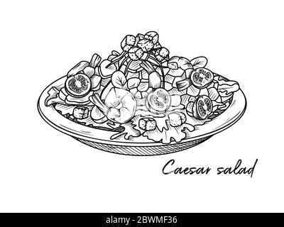 Caesar Salat mit Garnelen auf weißem Hintergrund isoliert. Italienische Gerichte. Vektorgrafik im Skizzenstil. Stock Vektor