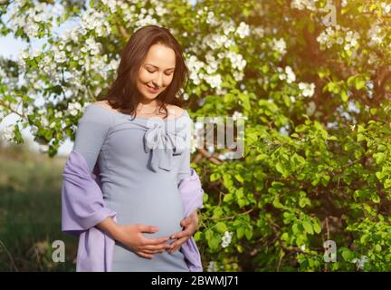 Schwangere Frau posiert in einem grünen blühenden Apfelgarten. Konzept der Schwangerschaft, Mutterschaft, gebärend, Gesundheit der Frauen Stockfoto