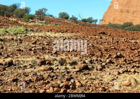 Nahaufnahme eines Abschnitts des Valley of the Winds bei Kata Tjuṯa im Uluru-Kata Tjuṯa National Park, Northern Territory, Australien Stockfoto