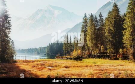 Ehrfürchtige alpine Hochländer an sonnigen Tagen. Landschaftlich reizvolle Landschaft in Sonnenlicht mit Majestic Rock Mountain im Hintergrund. Wilde Gegend. Stockfoto