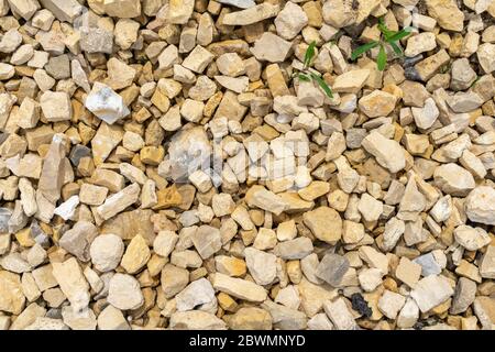 Zerkleinert Kies als Hintergrund oder Textur, Hintergrund aus Granit Schotter Stockfoto