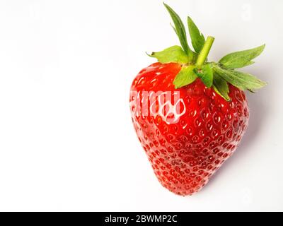 Eine einzelne Erdbeere auf weißem Hintergrund mit Kopierraum isoliert Stockfoto