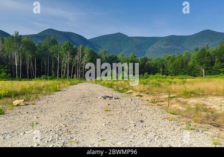 Altes Landegebiet des Kanc 7 Holzernteprojekts im Bereich der Forest Road 510 entlang des Kancamagus Scenic Byway in New Hampshire. Stockfoto