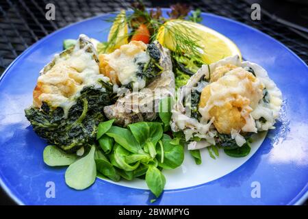 Gebackene Austern mit Kräuterbutter, Käse und Spinat, nach dem Rockefeller Rezept, serviert mit Salat und Zitronenscheiben auf einem blauen Teller, ausgewählte Focu Stockfoto