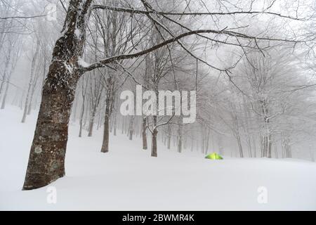 Winter Camp im Schneesturm der Nebrodi Berge Naturdenkmal in Sizilien Reise Abenteuer wild Outdoor Stockfoto