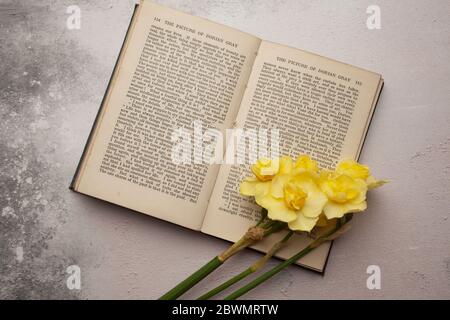 Narzissen und Buch Stillleben Stockfoto