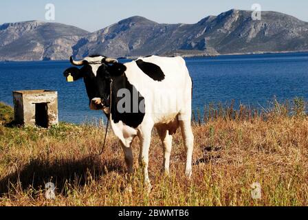 Landschaftsansicht der Insel Leros in Griechenland. Stockfoto