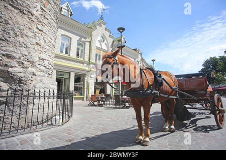 Pferd & Wagen neben den Stadttoren der Altstadt, in der historischen mittelalterlichen Innenstadt der Stadt, Tallinn, Estland. Stockfoto