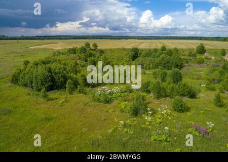 Die ländliche Landschaft des Leningrader Gebietes an einem Julitag (Luftaufnahmen). Russland Stockfoto