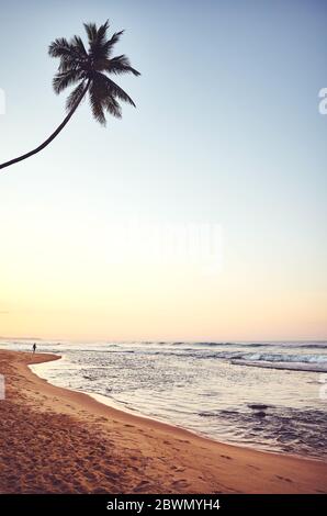 Tropischer Strand mit Kokosnusspalme bei Sonnenaufgang, Farbtonierung angewendet, Sri Lanka. Stockfoto