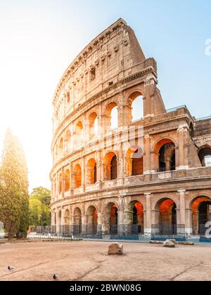 Kolosseum oder Kolosseum. Morgenaufgang am riesigen römischen Amphitheater, Rom, Italien Stockfoto