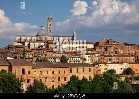 Siena. Luftbild der mittelalterlichen Stadt Siena, Italien bei sonnigen Tag. Stockfoto