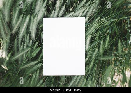 Weißes Notizbuch oder Stück Papier im grünen Gras liegend, kopieren Raum für den Text Platz stimmungsvolle Atmosphäre Stockfoto