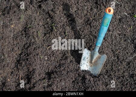 Pflanzung Schaufel in den Boden, Gartenarbeit Vorbereitung eines Bettes im Frühling an einem sonnigen Tag Stockfoto