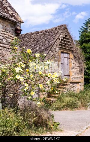 Eine gelbe Rose neben einer alten Steinscheune im Dorf Condicote in Cotswold, Gloucestershire, Großbritannien Stockfoto