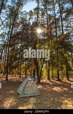 Zelt im Sonnenuntergang und Wald von North Carolina, USA Stockfoto