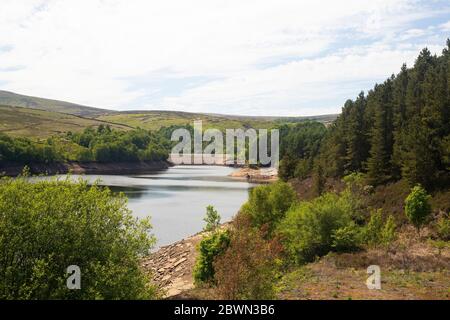 Sommeransicht des Digley Reservoirs, das von Yorkshire Water im West Yorkshire Rand des Peak District National Park mit atemberaubender Landschaft gepflegt wird Stockfoto