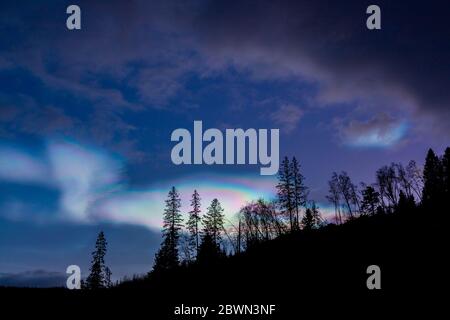 Schöne und erstaunliche polare Stratosphären Wolken über Norwegen, Sonnenaufstiegszeit, Winter. Stockfoto