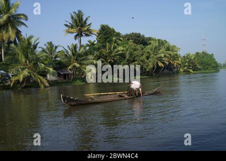 Mann mit einer Zigarette im Mund, steht in einem langen schmalen Einwegkanu und zieht ein Fischernetz aus dem Brackwasser von Keralas Backwaters, während Palmen hoch im Hintergrund stehen. Stockfoto