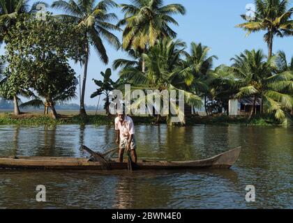 Mann mit einer Zigarette im Mund, steht in einem langen schmalen Ausgußkanu und zieht ein Fischernetz aus dem Brackwasser von Keralas Backwaters, während Palmen im Hintergrund hoch stehen, A Stockfoto