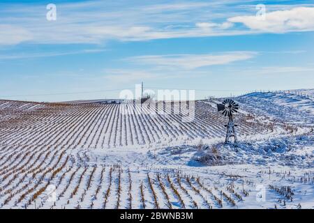 Alte Windmühle mit Holzturm neben Maisfeld, Nebraska, USA Stockfoto